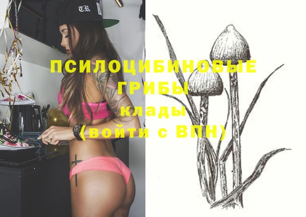индика Алексеевка