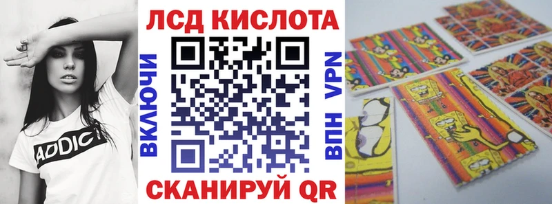 где найти Нерехта Марки N-bome 1,8мг