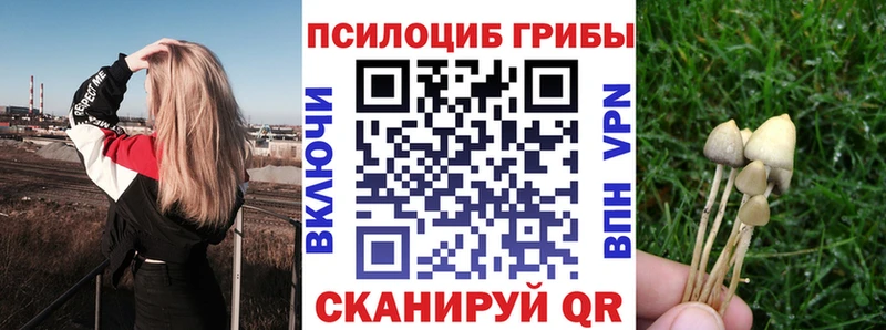 Псилоцибиновые грибы прущие грибы  где найти наркотики  Нерехта 