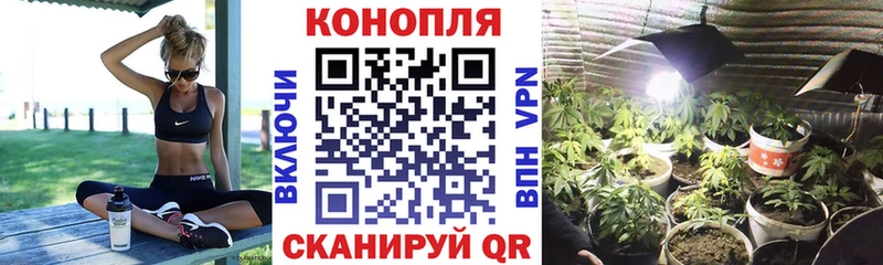 Бошки марихуана марихуана  дарнет шоп  Нерехта 